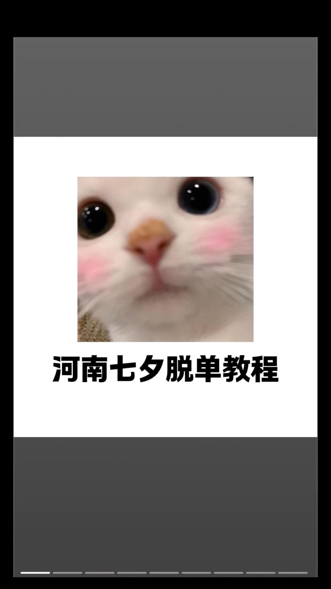 又是一年七夕节！不少河南的伙伴总是问南南怎么脱单！教程给大家准备好了，只允许河南