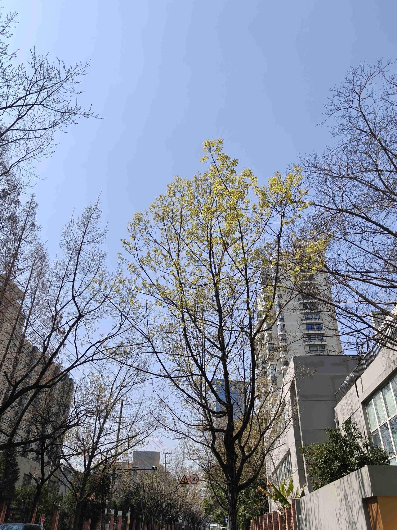 我的今日状态：😁轻松愉快
我这里的天气：☀️晴天