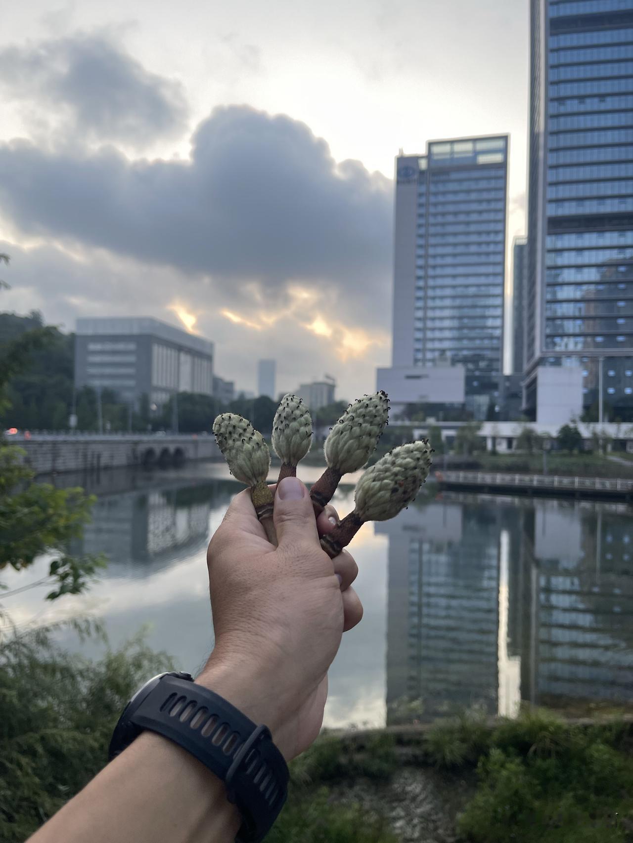 开启美好的一天
没有什么可以放不下
身体好才是这个世界需要你的前提条件
其他的都