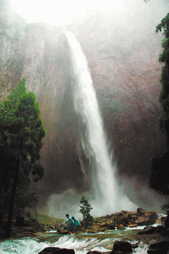 雁荡山的大龙湫瀑布真像一条白龙如谭，太形象了！
它虽没有黄果树瀑布那么宽大，也没