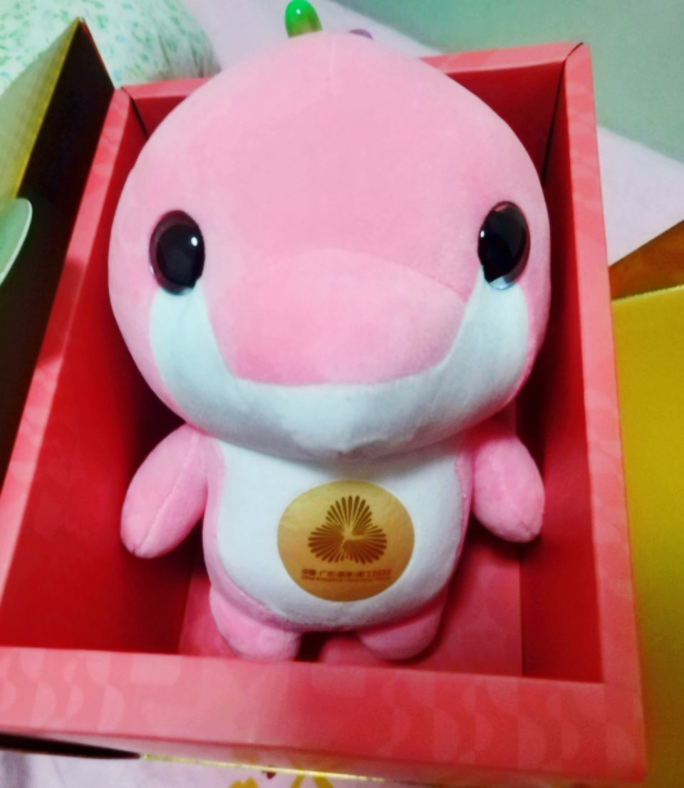 拥有了领奖台马龙同款大湾鸡～