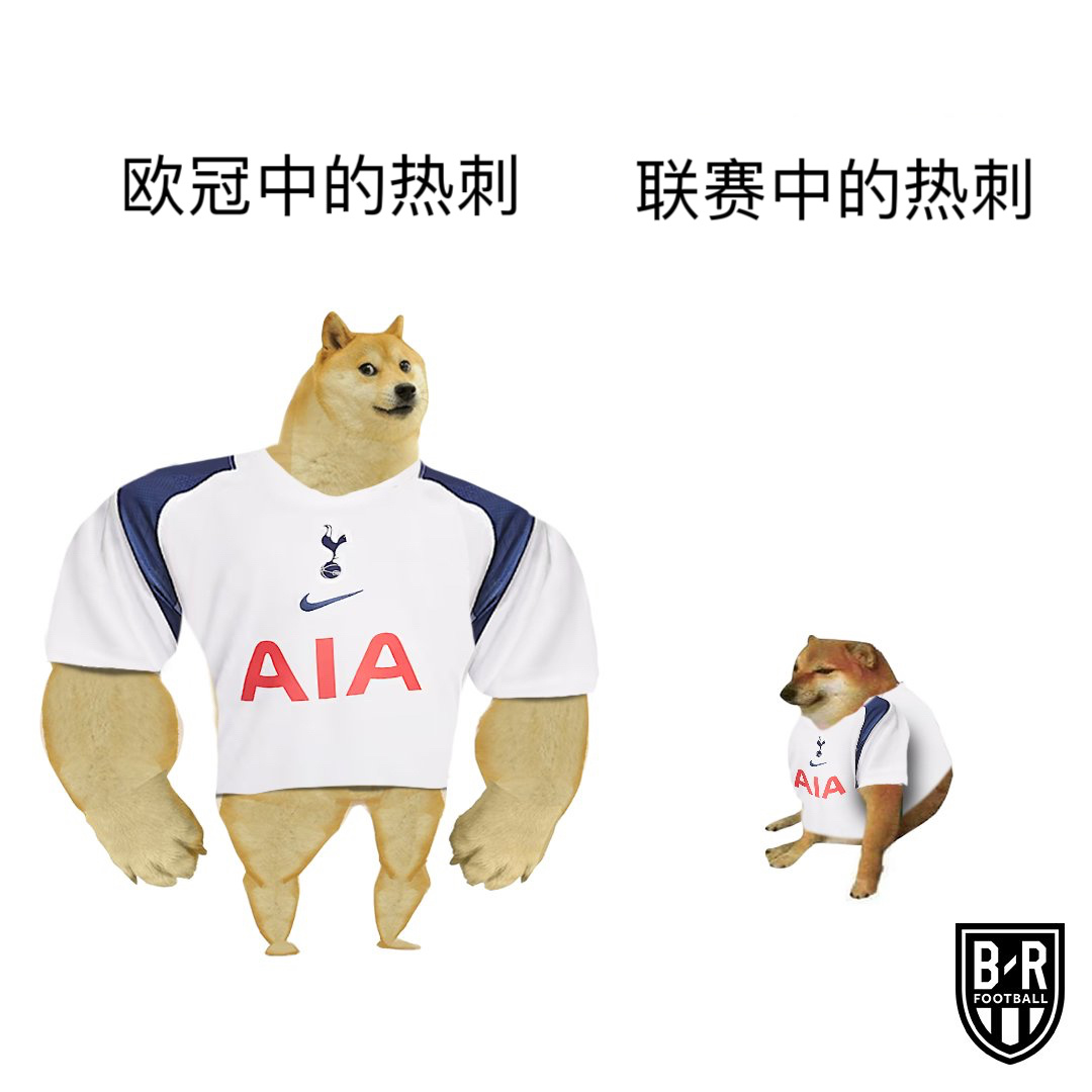 欧冠中的热刺与联赛中的热刺 