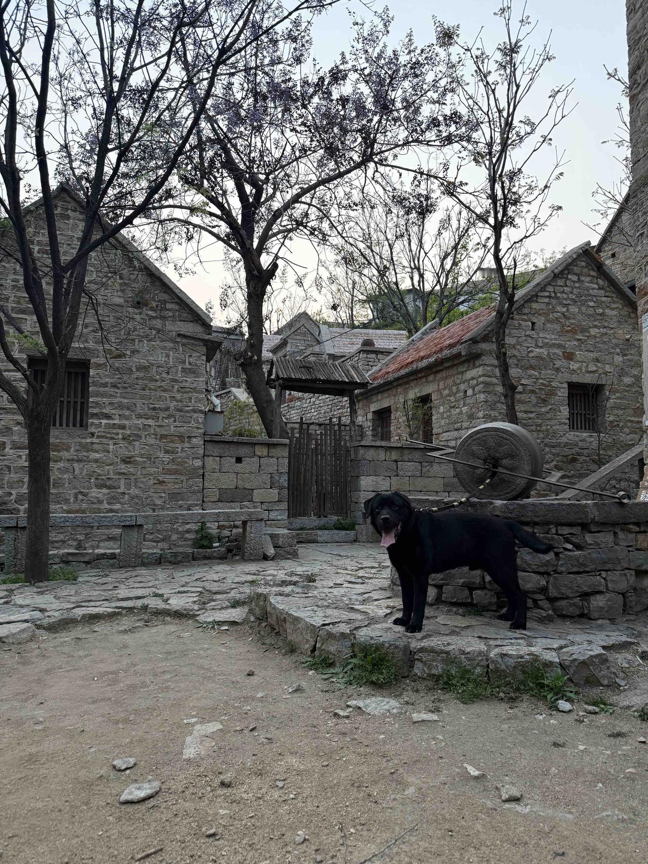 科技进步的历史观 ：科技平权
科技使人类进入工业文明之后，一直都是以平权为基本逻