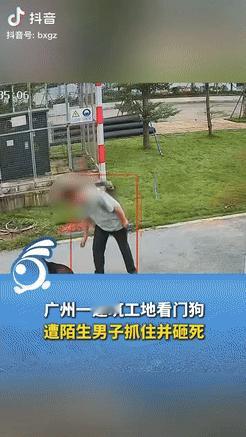 广州，一只看门狗趴在工地上休息，突然遭到一名陌生男子的袭击，男子用力砸狗长达2分