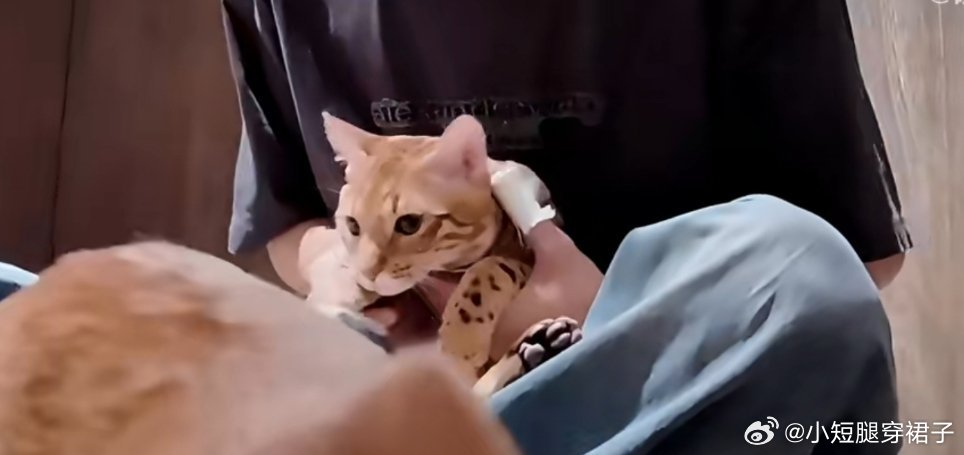 梓渝手受伤了看样子应该没事了吧，期待小鱼的新歌新专辑。 