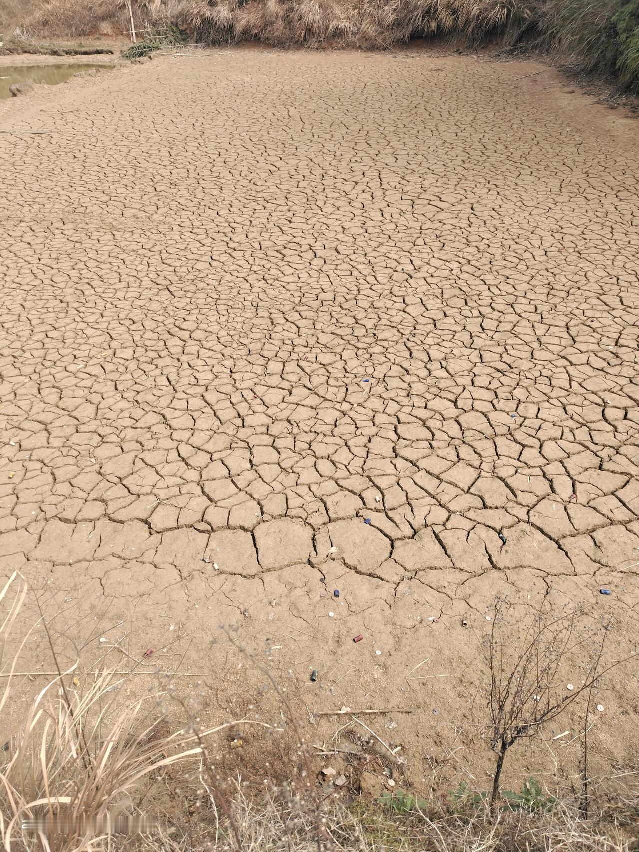 16:59	24	
相亲 儿子这一年大概介绍了20个女孩，见面的有6个，基本都是