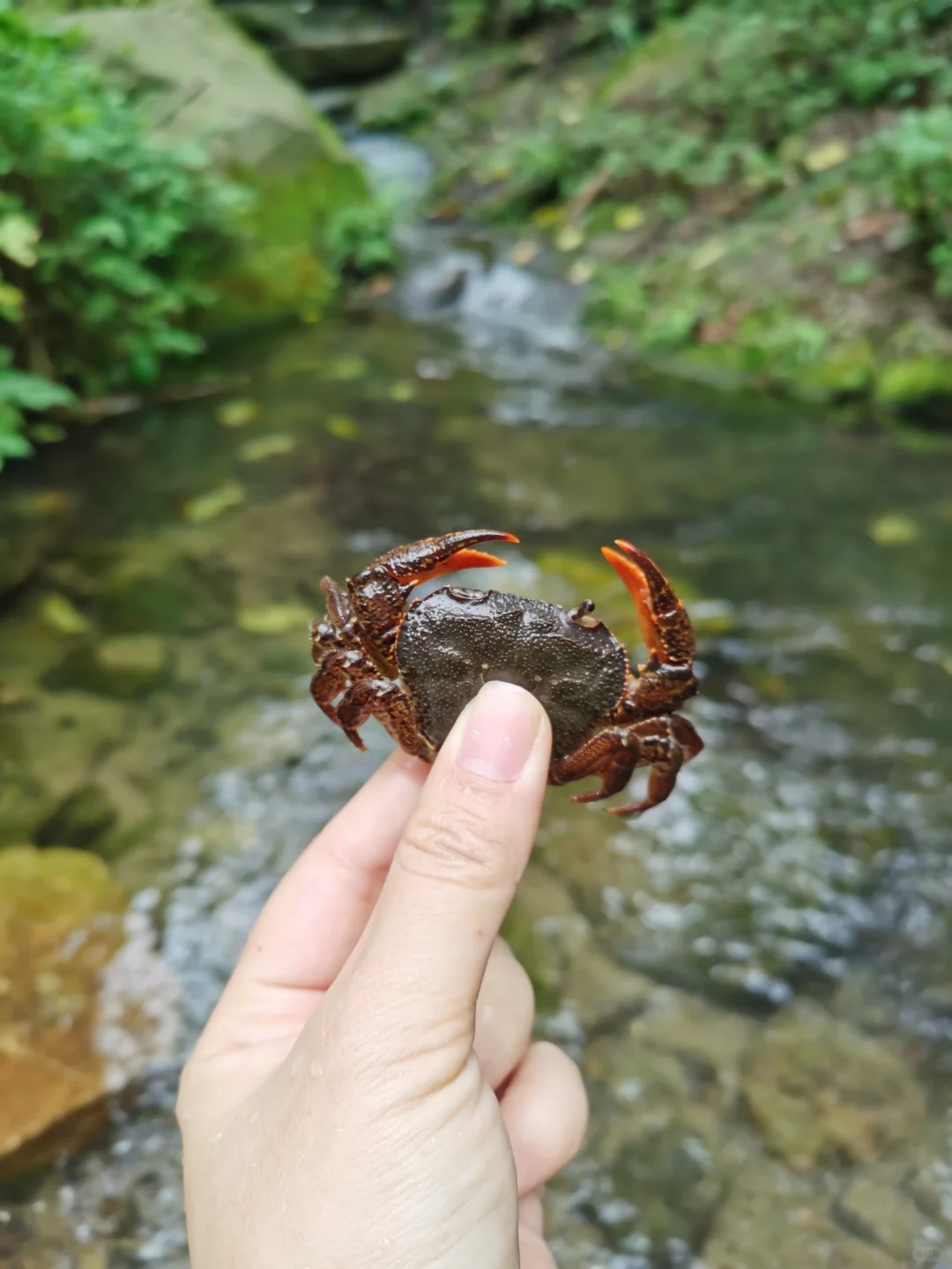 夏日玩水｜清凉龙王村