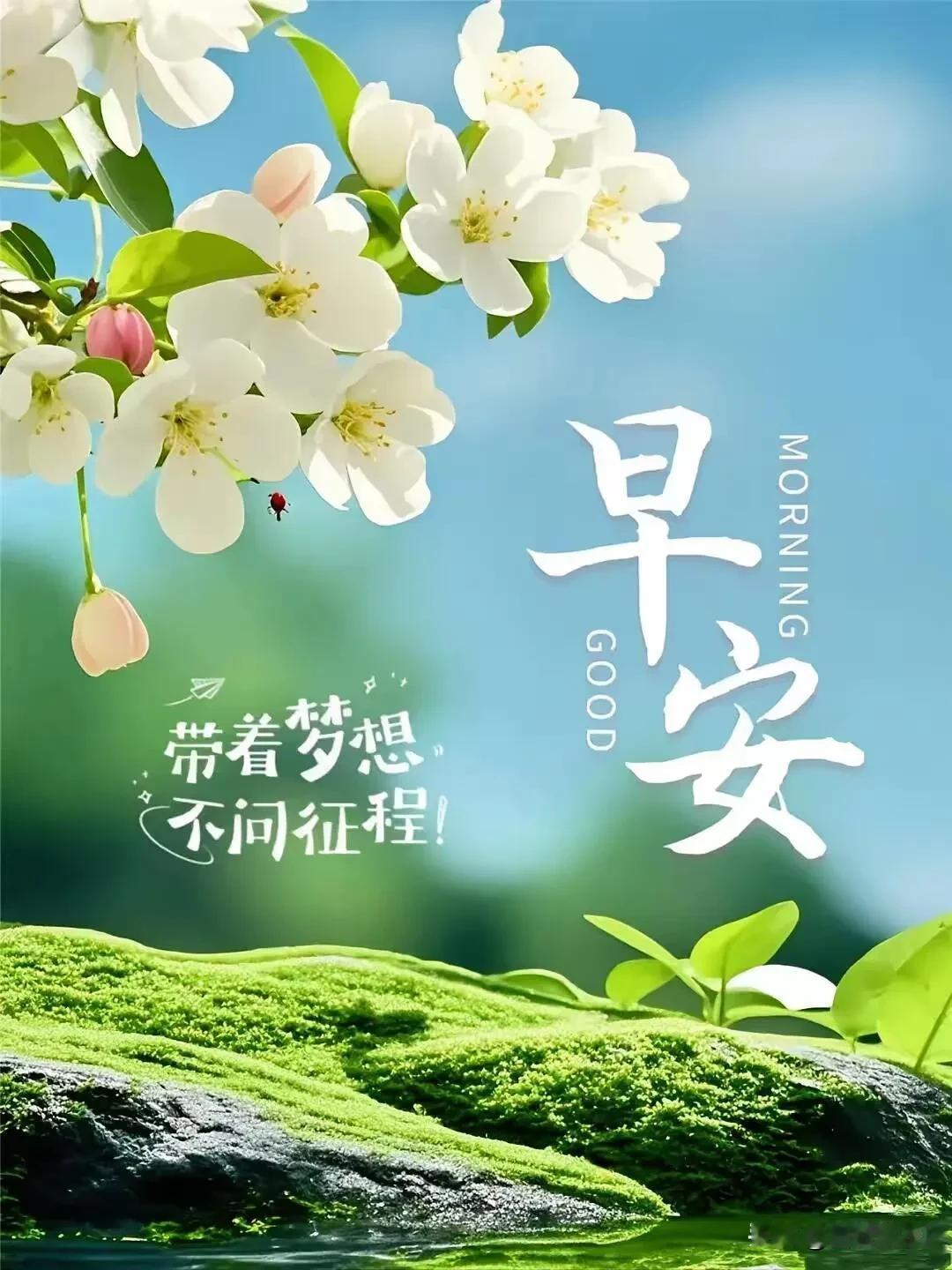 朝露伴清风，新岁皆从容，早安。