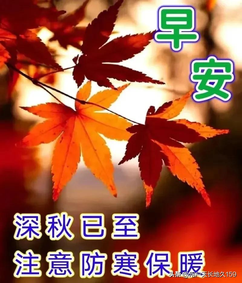 秋已渐深，天寒渐冷，记得添衣保暖，愿你的每一天都如阳光温暖明媚，收获满满，平安相