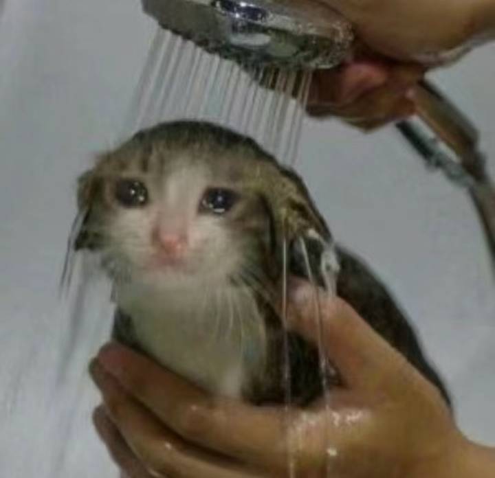 友友们  这几周发货机都在出差没空打包发货最近积累的一些喵喵雨和中奖礼物的发货会