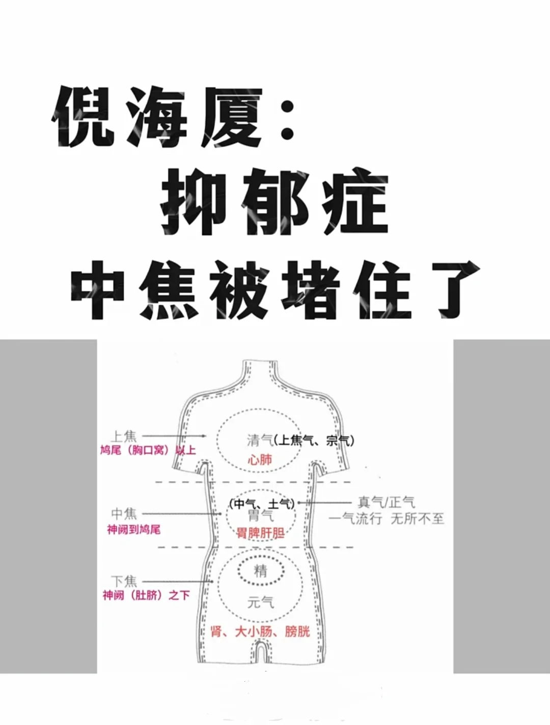 倪海厦指出，中焦阴毒不除，抑郁症难愈。 . 中焦不通，往往是多种顽疾的...