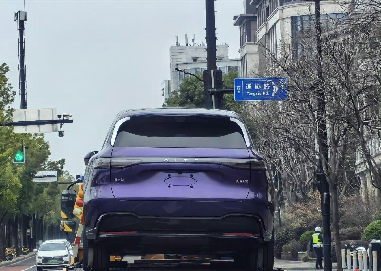 这是「星夜紫」配色的实车光打一下会更亮，更好看