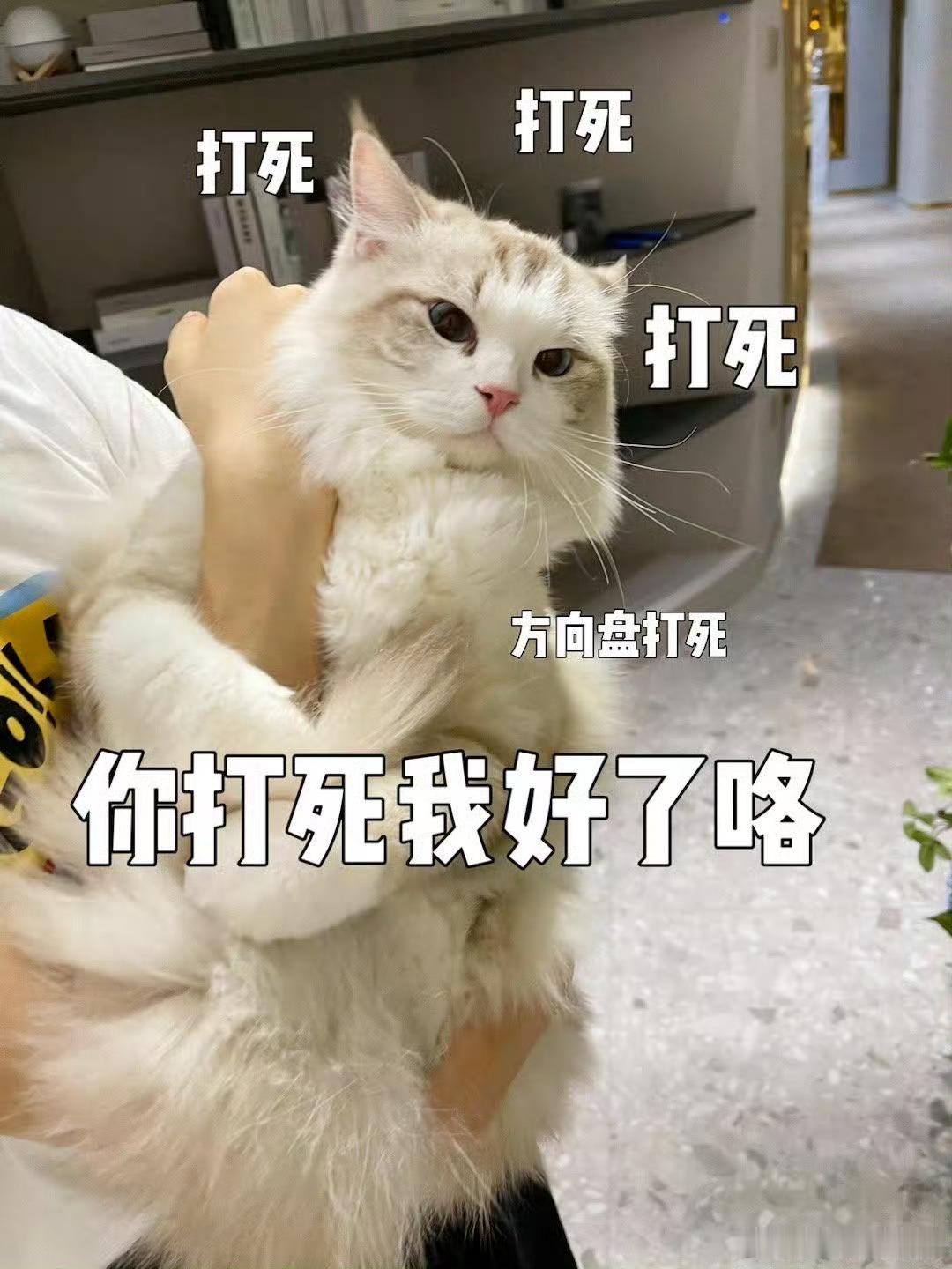 乐师傅持司机证上岗两周年 ​​​