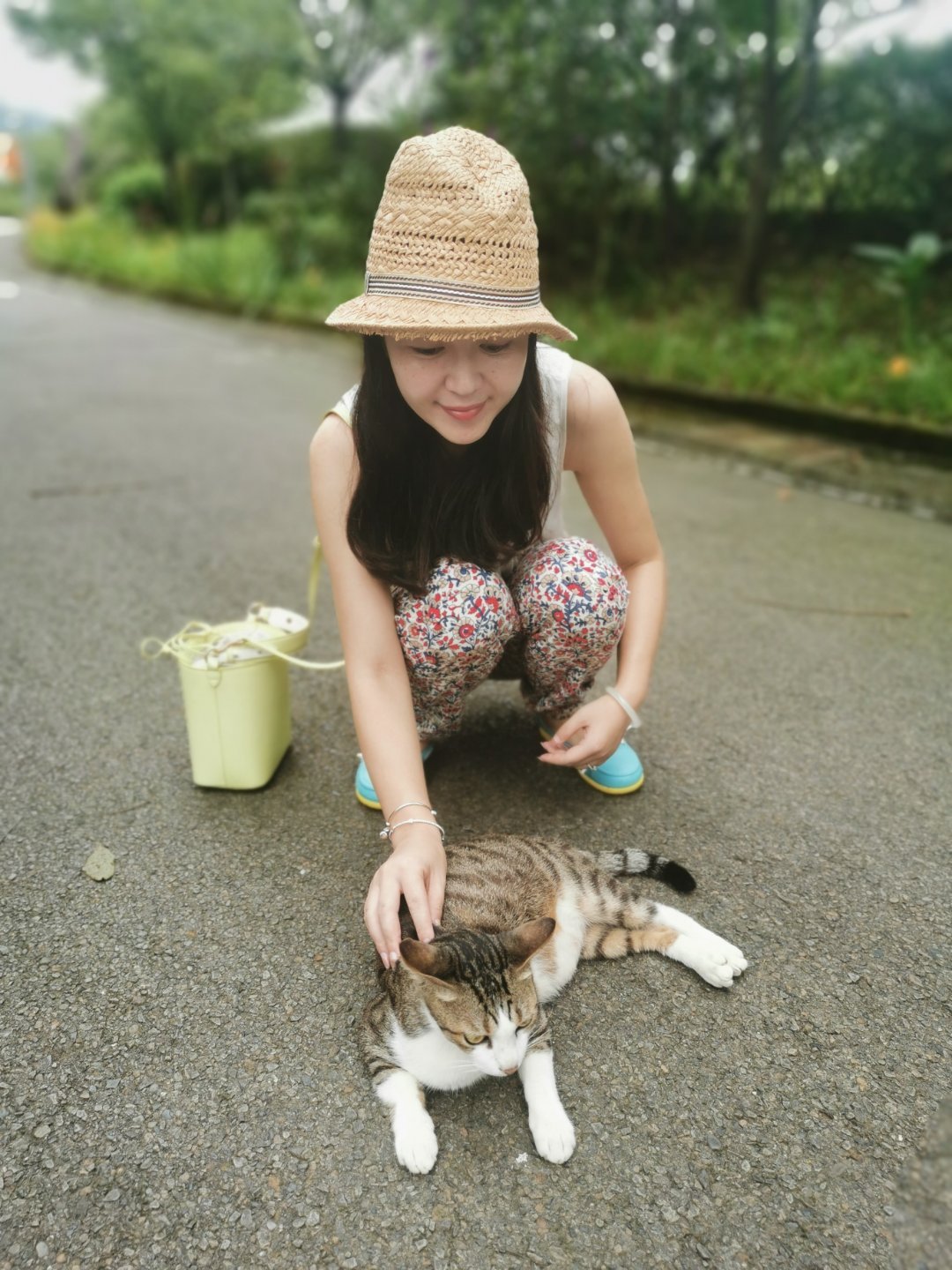 走在城市的大街小巷，总能看到四处漂泊的流浪猫狗。它们风吹日晒、居无定所，每天都在