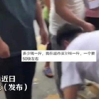 河南西瓜被拉到广东后卖爆了 西安·华严寺
