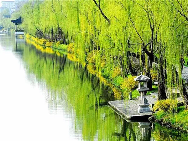 【扬州瘦西湖】“天下三分明月夜，二分无赖是扬州。”  