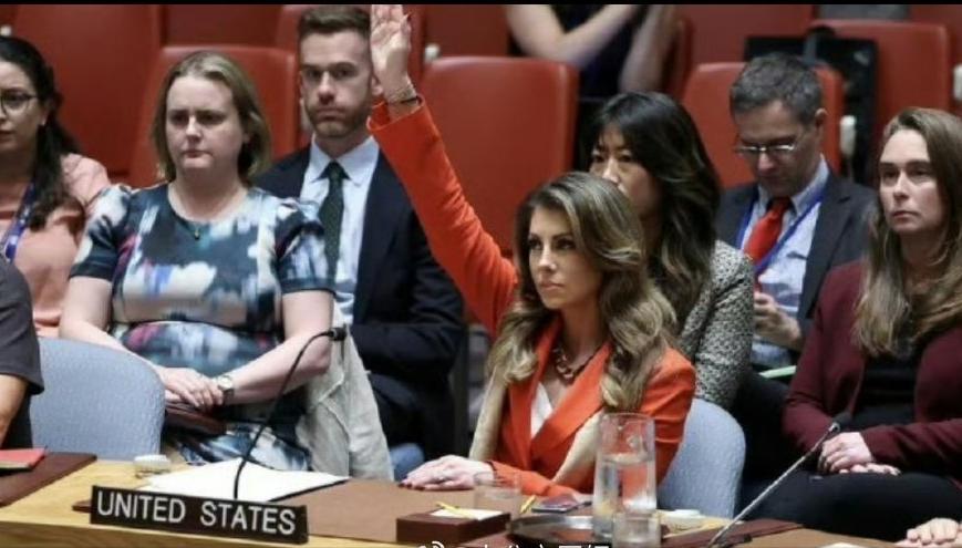 世界秩序正被撕开裂缝！
19号凌晨，联合国安理会再度上演令人窒息的一幕。美国单枪