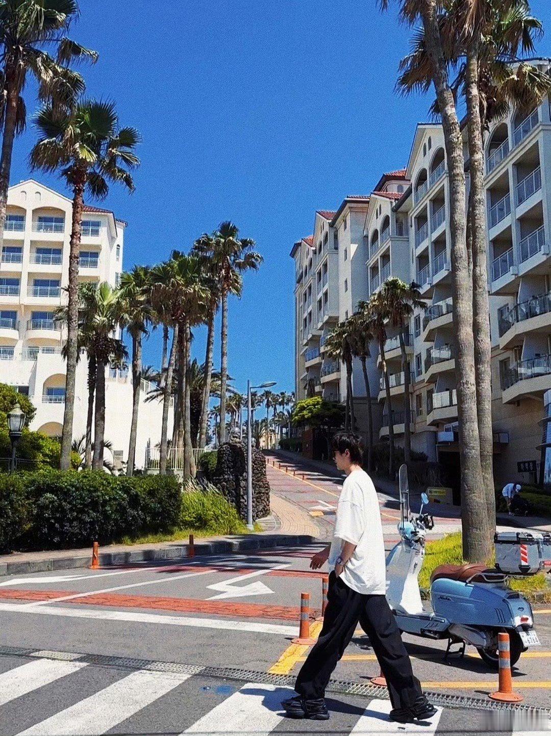 展轩 zx车干日常 山涧溪流从不急于奔向海洋，只是缓缓绕过碎石，浸润青苔。俯身听