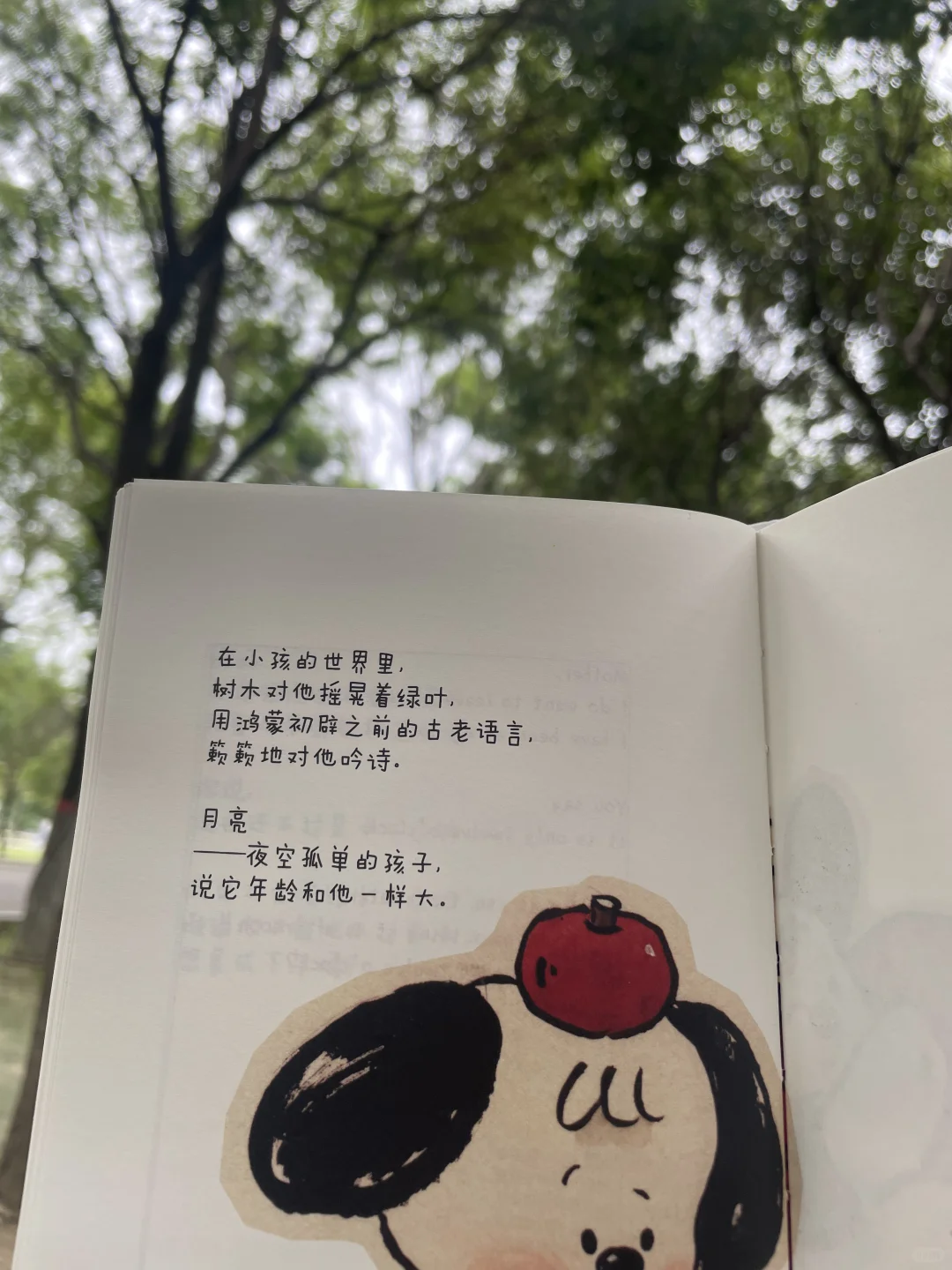 秋天就要去逛公园，发呆和看书啊。