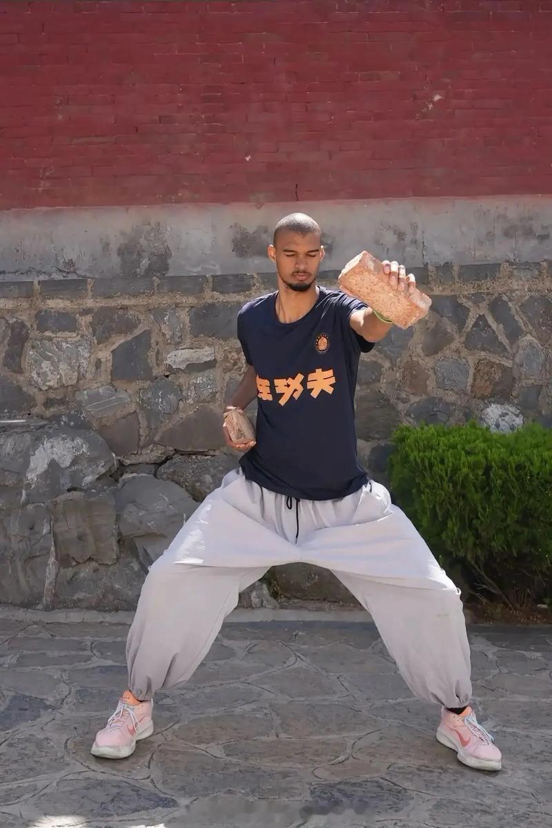 少林寺的含金量还在上升，以后国际大赛我们派少林寺代表队去参加吧 