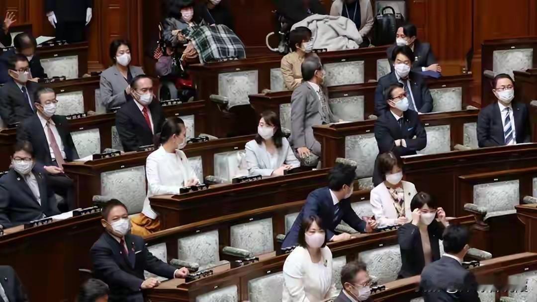 新党步步紧逼，高市早苗：输了我就下台！又要访美，又想找中国？