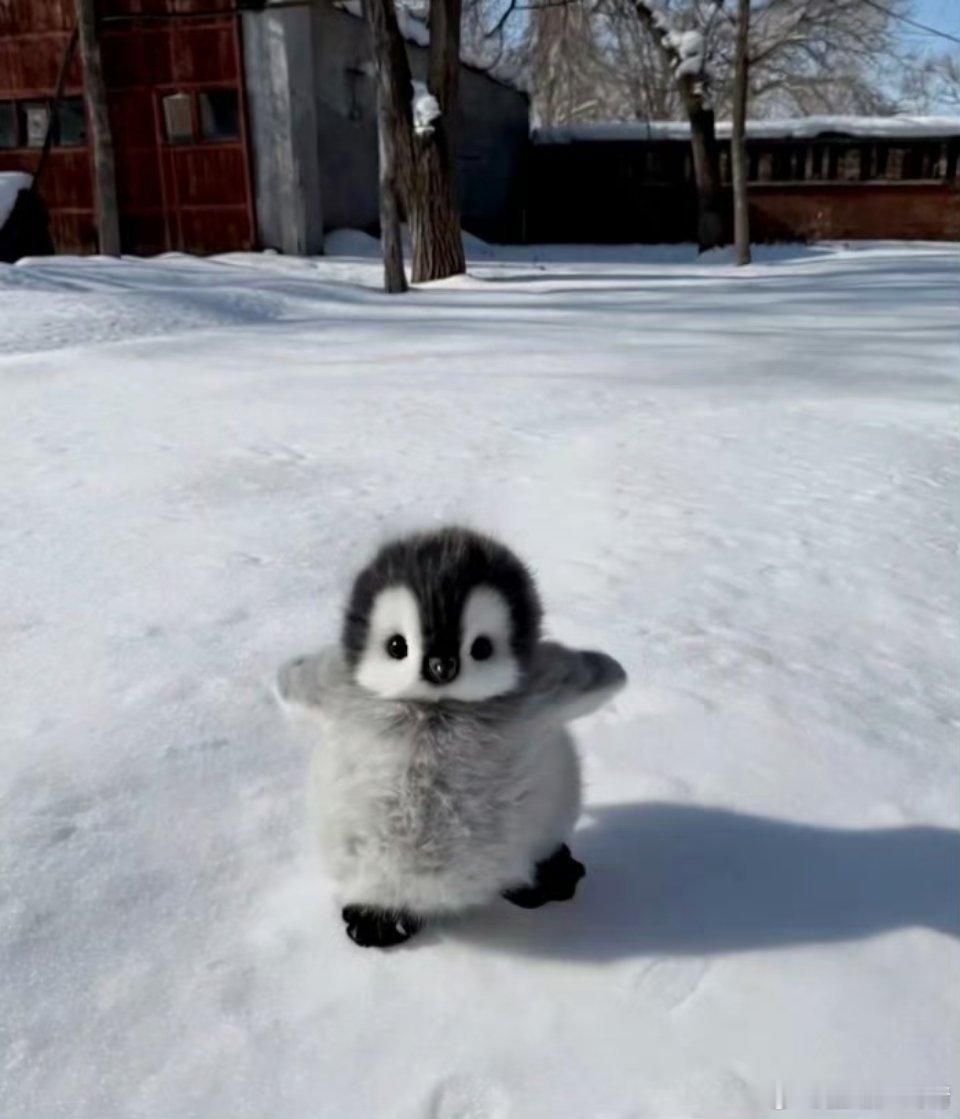 三首歌我都知道了 