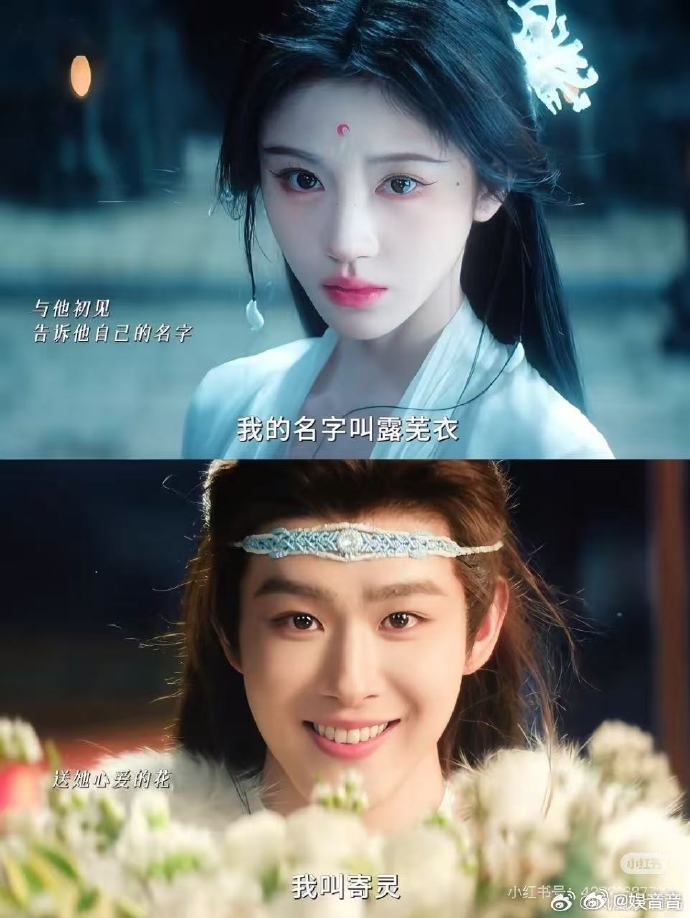 月鳞绮纪他在闹她在笑 寄灵看露芜衣的眼神干净又温柔🤍田嘉瑞演少年纯爱真的太绝了