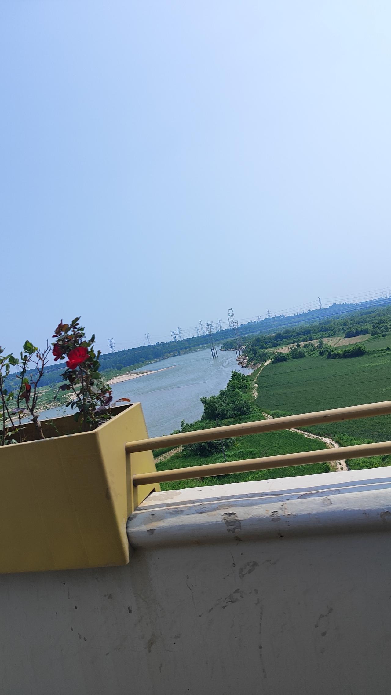 高陵渭河南北应该创意设计，用无人机航拍，体现出“绿草五环图案”大气上档次，即保护