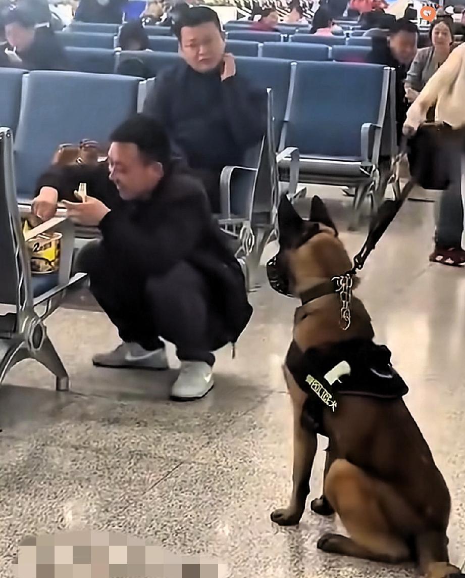 太有趣了！
谁能想到，威风凛凛的警犬，居然被一桶泡面拿捏得死死的！
 
2月1日