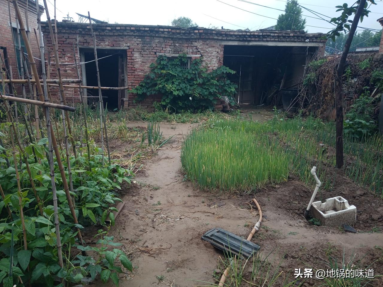 四月初十“土地公公诞辰”
一拜二求，五谷丰登家庭幸福
一拜风调雨顺五谷丰
四月初