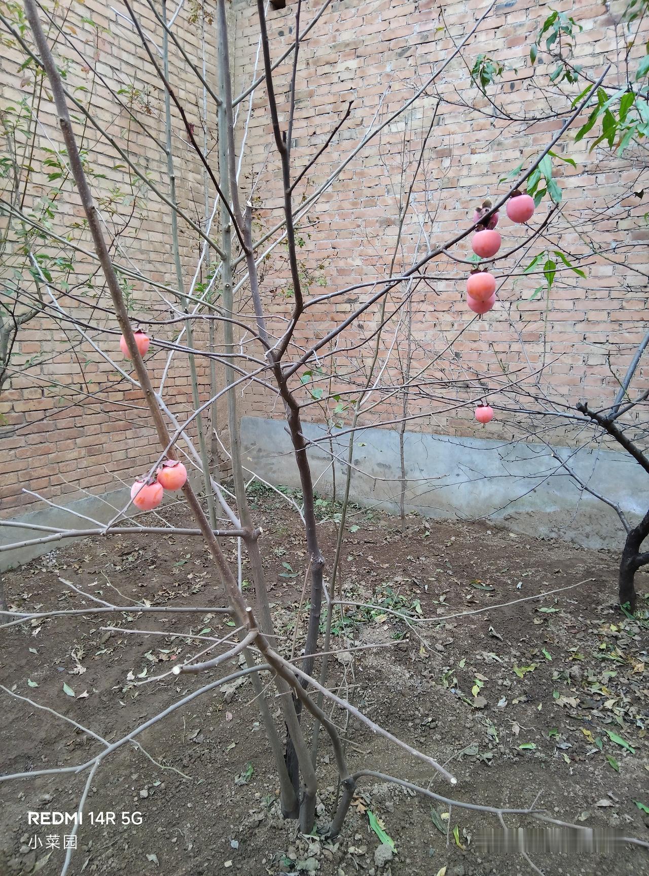 齊客茅焦上謁請諫。王使謂之曰：若不見夫積闕下者邪？對曰：臣聞天有二十八宿，今死者