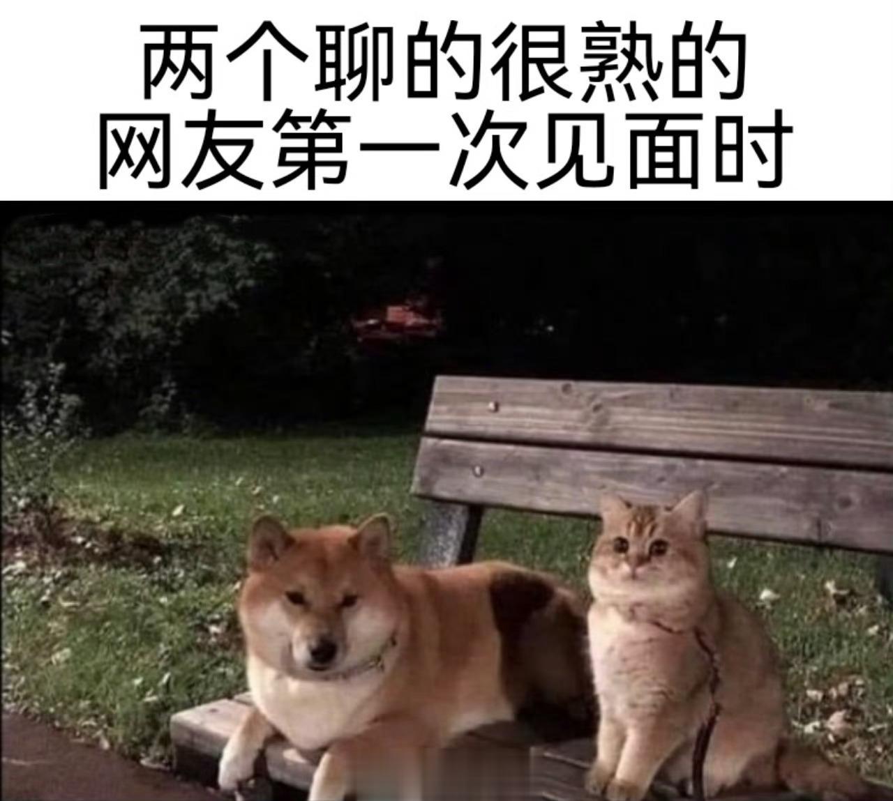 #meme##me_irl# ​​​
