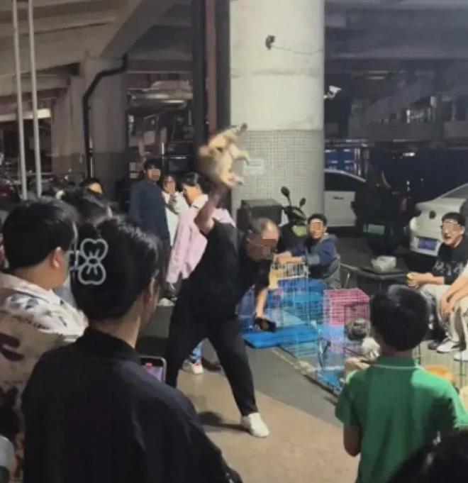 2025 年 4 月 25 日晚，广西柳州风情港便民夜市发生的摔狗事件，一经曝光