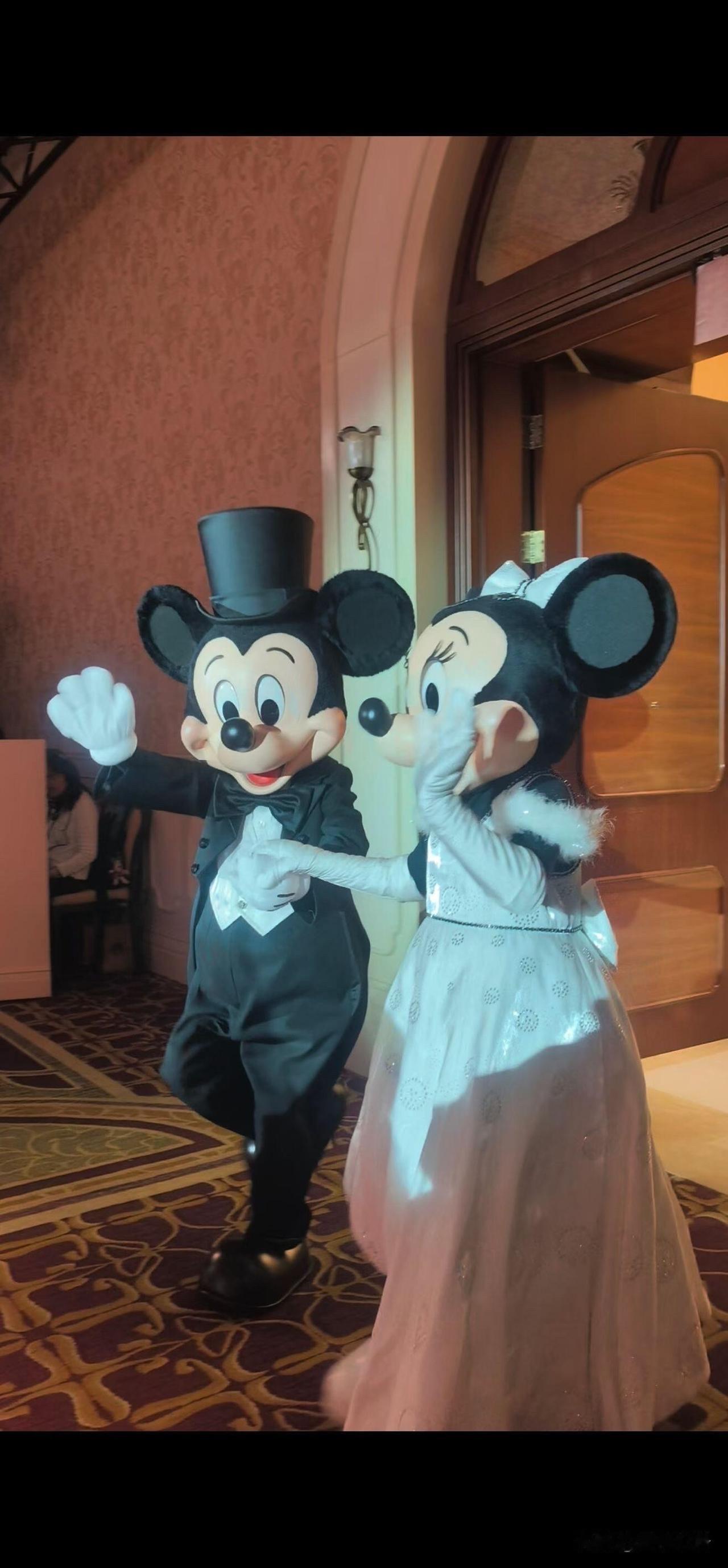 朋友的迪士尼婚礼太浪漫了💙

城堡当背景，米奇米妮来送祝福，
蛋糕上全是童话元