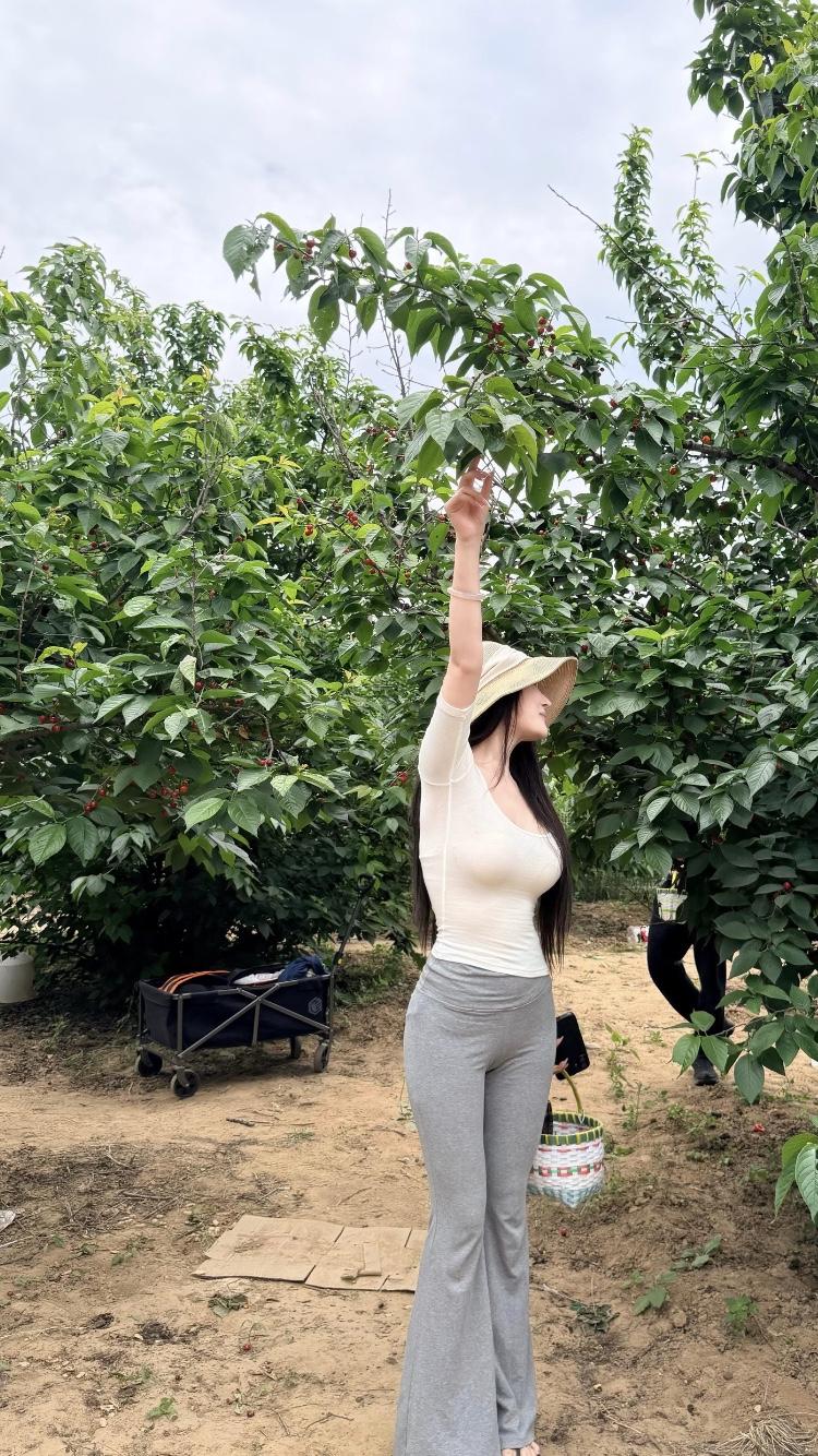 太美了