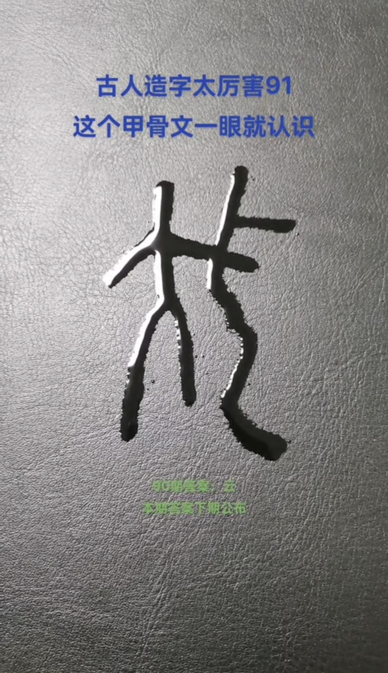 每日分享：《周易》的“易”，既不是蜥蜴，也不是日月！
很多人讲，“易”是蜥蜴，或