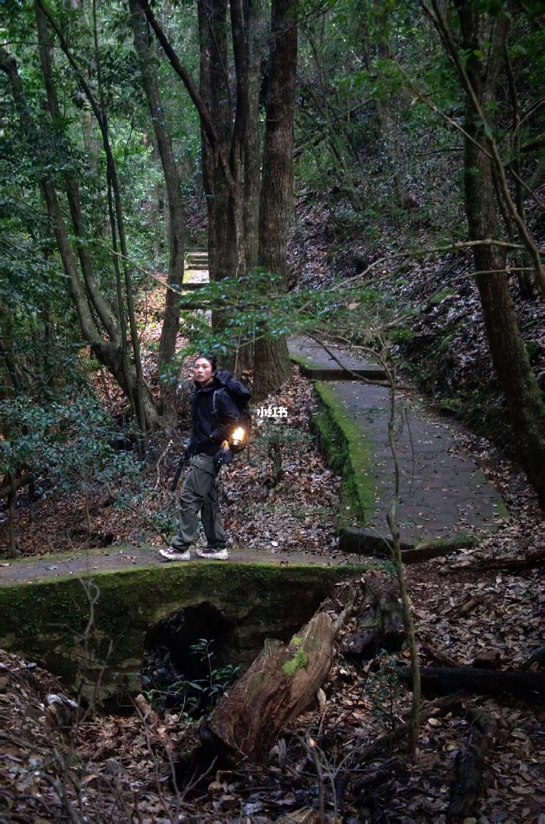 昆明周边｜元旦跨年好去处1h抵达无人森林