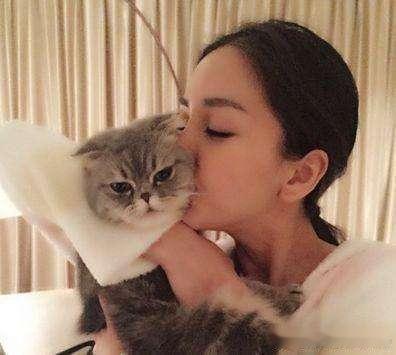 angelababyangelababy 可可爱爱，萌宠驾到