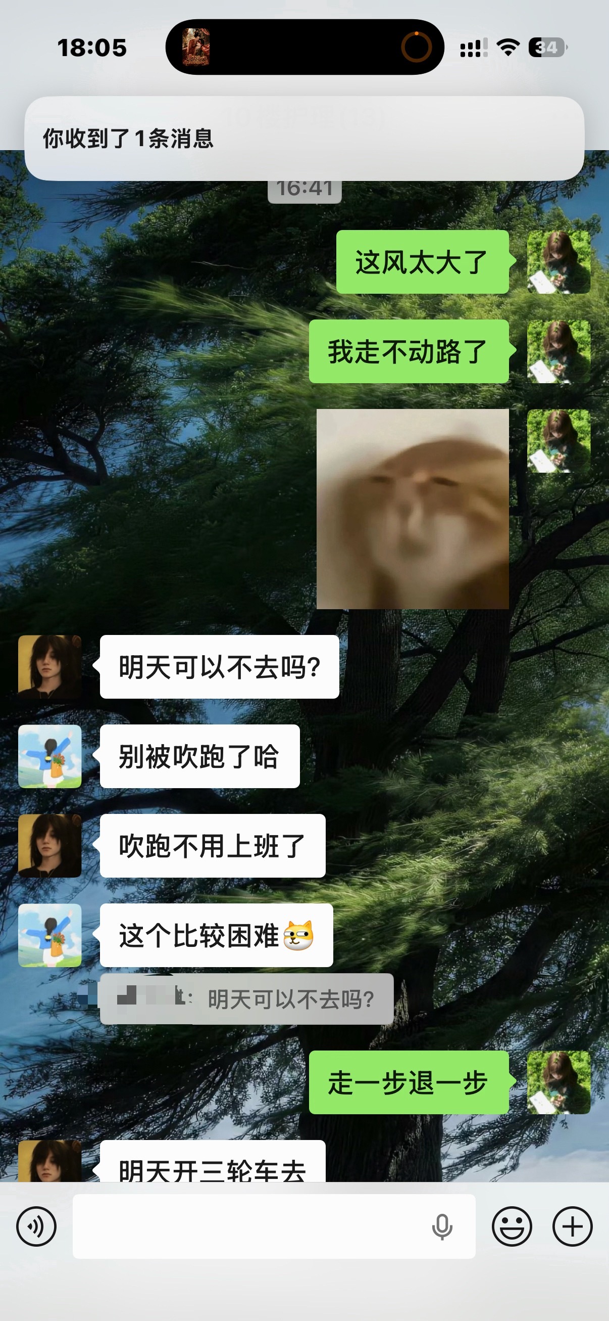 台风 谁同意你来的？ 