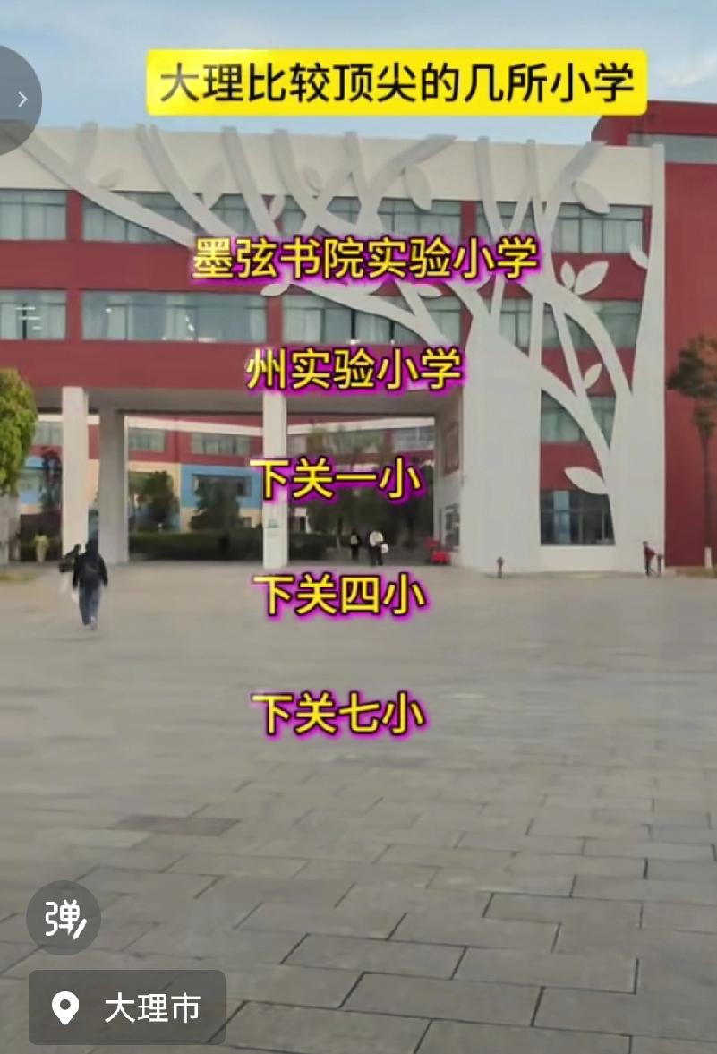 想在大理给孩子选顶尖小学的家长看过来！（仅供参考）

大理州实验小学热度高达56