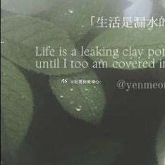 阳光信用🍊阳光信用🍊每一分自信和优雅的背后，都有一份对梦想的追求和坚持，有时