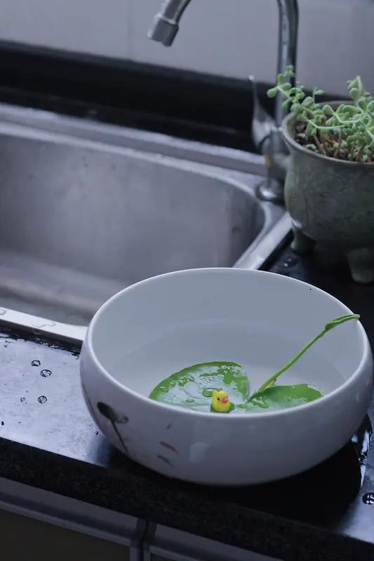 看到“勤勤恳恳种菜”这个上联，我脑海里一下子冒出好多合适的下联。有人对“平平淡淡