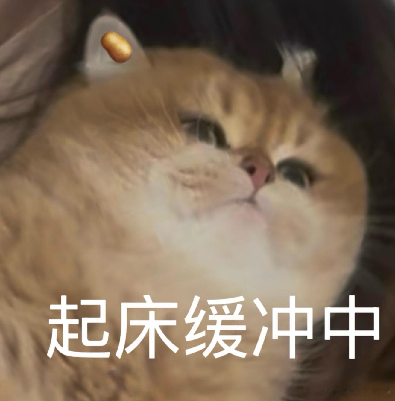 立秋早呀铁汁们！感觉日子挺慢的  居然已经立秋了吗？？ 