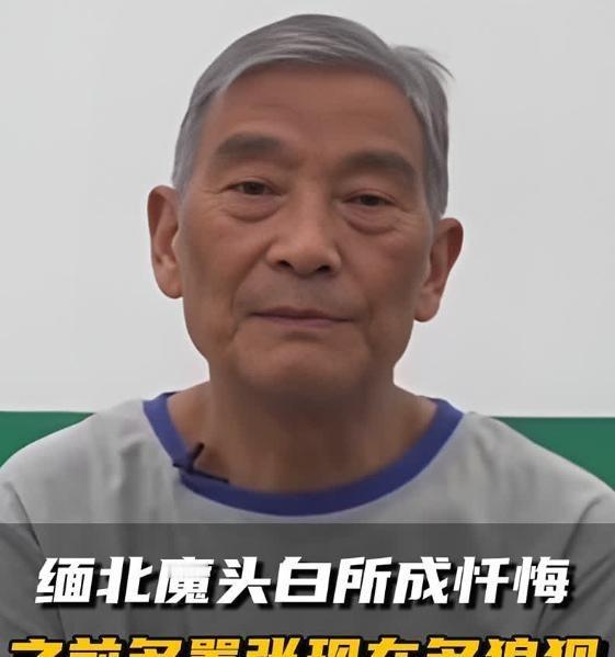 白所成果然被判处死刑！白所成是1950年出生，已经过了75周岁。在国内的法律当中