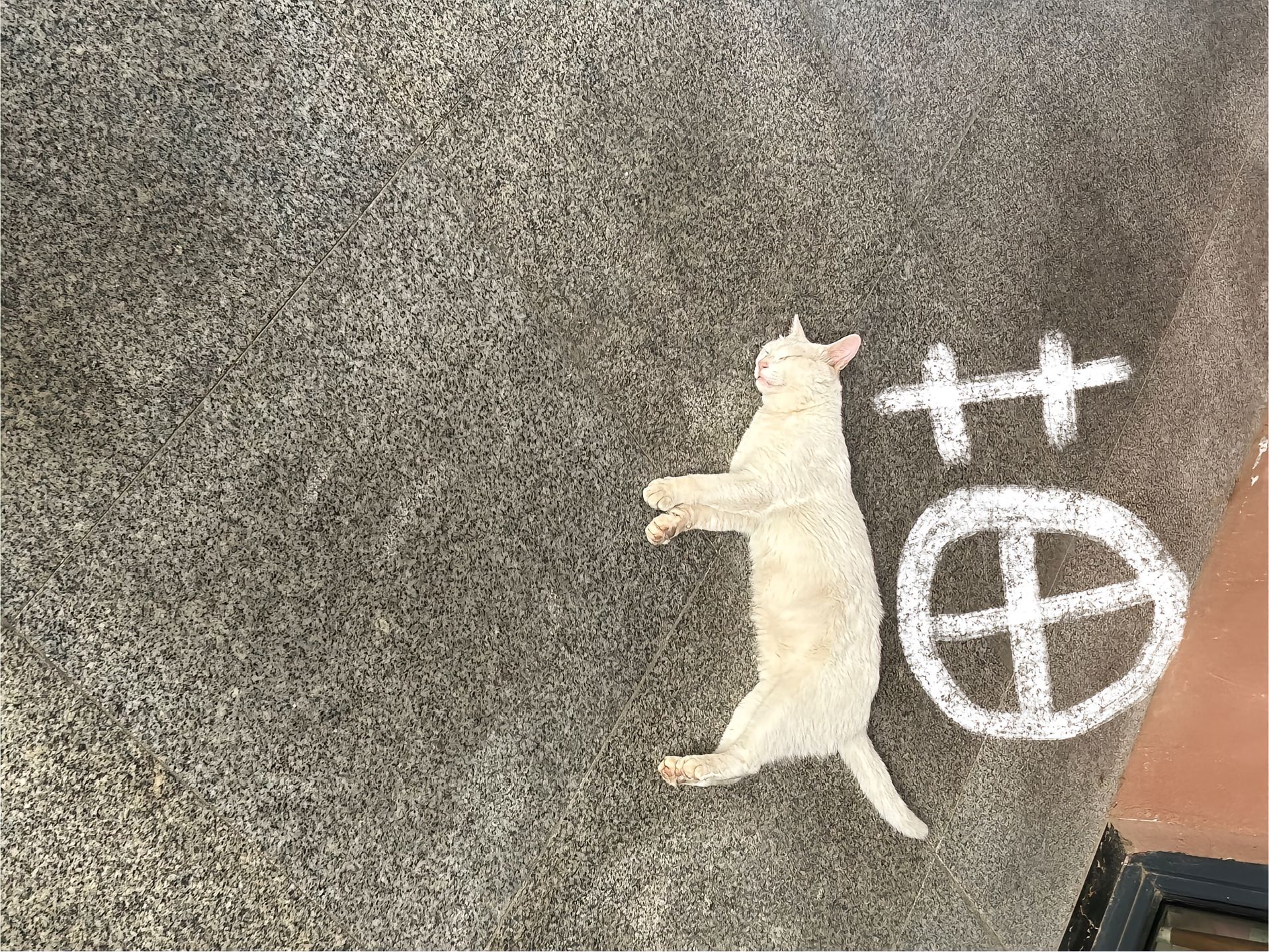 猫字旁[好喜欢] ​​​