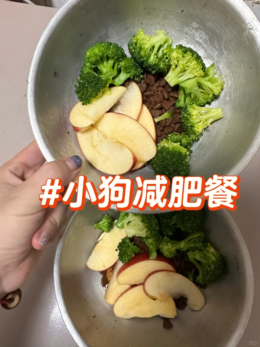 小狗减肥餐