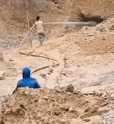 这货跑的真快！[捂脸]