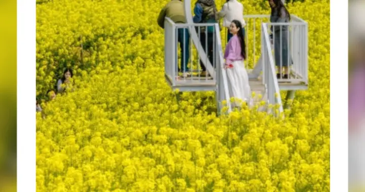 海报丨七彩湖南踏春“colorwalk”，走起！