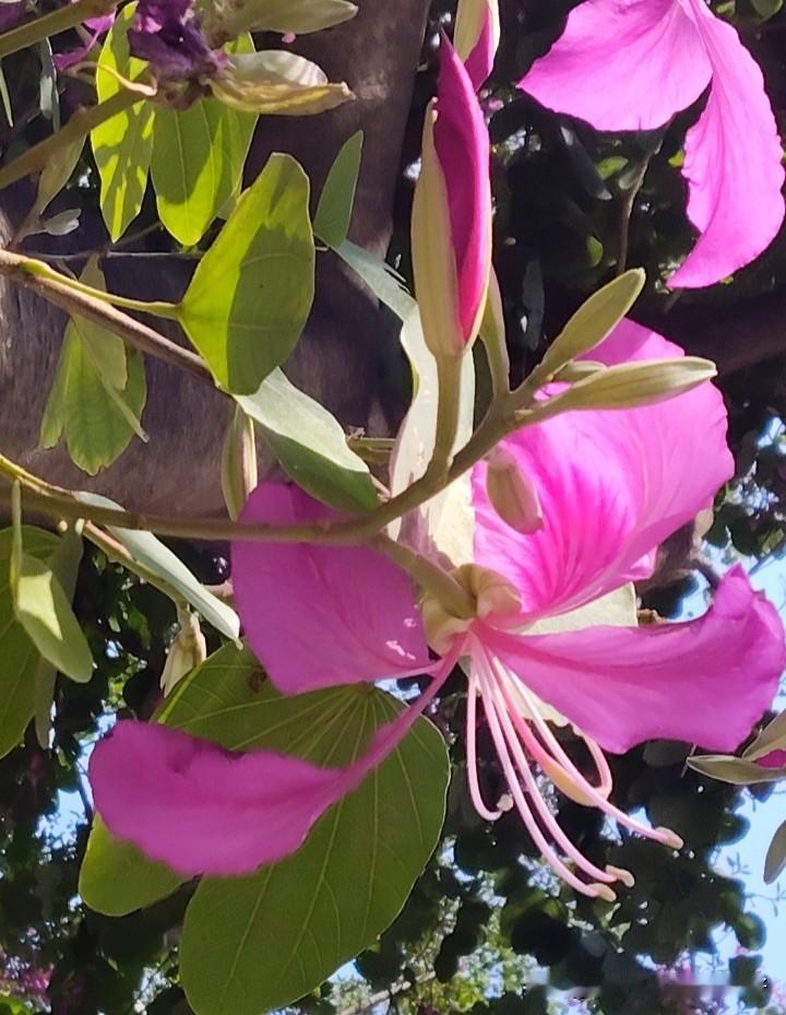 弘一法师 说：“清醒时做事，糊涂时读书，大怒时睡觉，独处时思考，学会看淡得失，懂