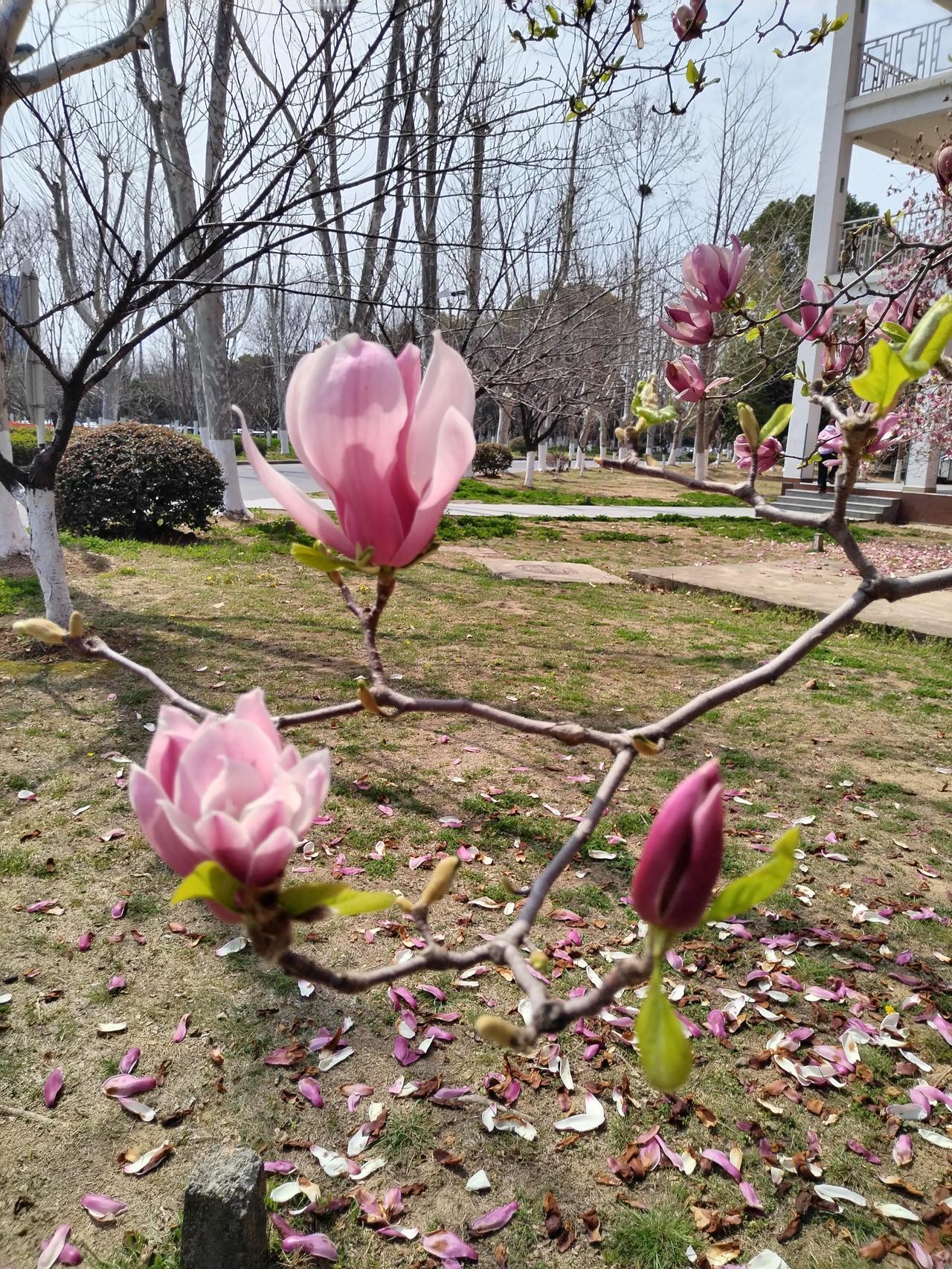 【趣联联趣】
上联：蠹孔难听响
下联：？
【一字千金】
《虫字》
廊前栖鸟羽，?